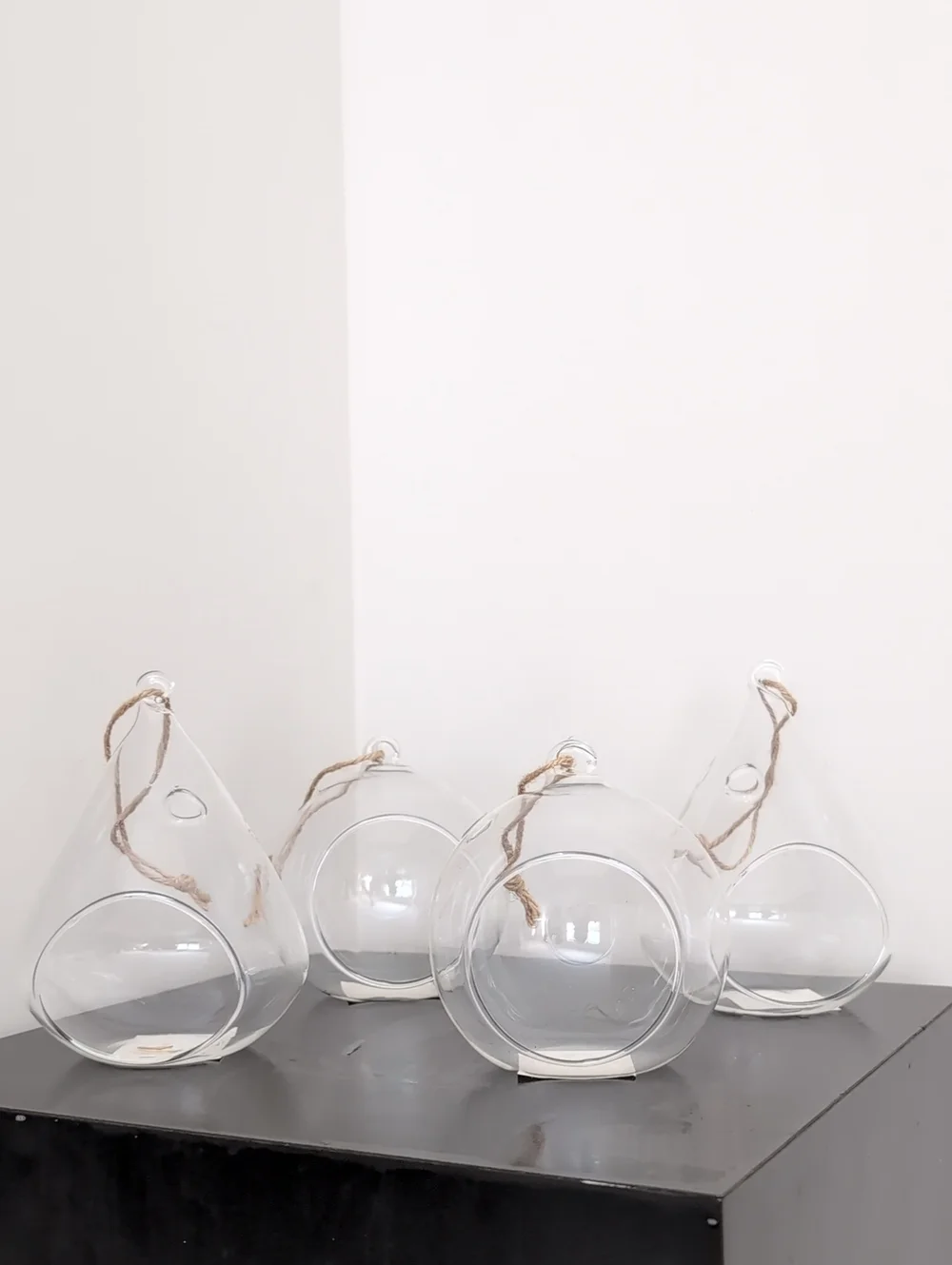Clear Glass Hanging Teardrop Terrarium Planter with Rope